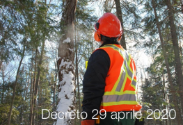 Decreto 29 aprile 2020 | Criteri minimi operatori forestali