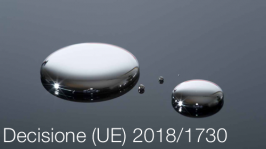 Decisione (UE) 2018/1730 | Posizione UE COP 2 Convenzione Minamata Decisione (UE) 2018/1730 | Posizione UE COP 2 Convenzione Minamata