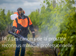 FR: les cancers de la prostate reconnus comme maladie professionnelle FR: les cancers de la prostate reconnus comme maladie professionnelle