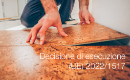 Decisione di esecuzione (UE) 2022/1517 
