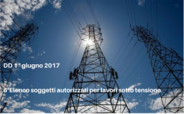 6° Elenco soggetti autorizzati per lavori sotto tensione 6° Elenco soggetti autorizzati per lavori sotto tensione