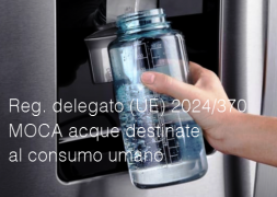 Regolamento delegato (UE) 2024/370
