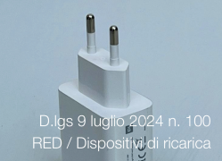 Decreto Legislativo 9 luglio 2024 n. 100