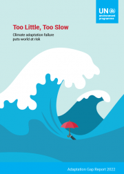 Adaptation Gap Report 2022