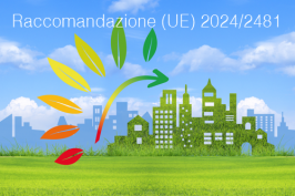 Raccomandazione (UE) 2024/2481 