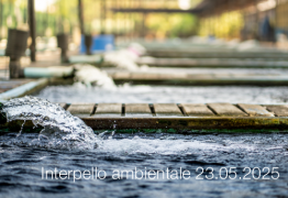 Interpello ambientale 23.05.2025 - Possibilità di trattare le acque emunte in impianti depurativi idonei esterni al sito
