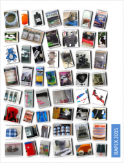 RAPEX: Report annuale Certifico 2015 RAPEX: Report annuale Certifico 2015