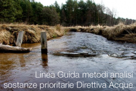Linea Guida metodi analisi sostanze prioritarie Direttiva Acque Linea Guida metodi analisi sostanze prioritarie Direttiva Acque