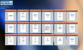 Raccolta Linee Guida CIG Marzo 2017 Raccolta Linee Guida CIG Marzo 2017