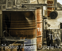 Decreto Legge 20 giugno 2017 n. 91