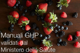 Manuali GHP validati dal Ministero