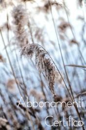 Abbonamenti Certifico 2016 Abbonamenti Certifico 2016