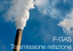 Regolamento di esecuzione (UE) 2017/1375 Regolamento di esecuzione (UE) 2017/1375