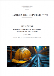 Relazione annuale sullo stato della sicurezza nei luoghi di lavoro - Anno 2024