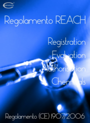 ebook Regolamento REACH ebook Regolamento REACH