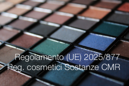 Regolamento (UE) 2025/877 