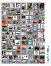 RAPEX: Report annuale Certifico 2017