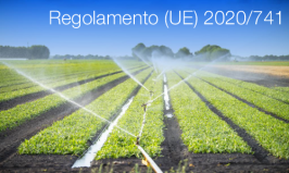 Regolamento (UE) 2020/741