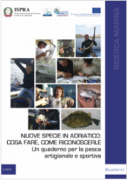 Nuove specie in Adriatico: cosa fare come riconoscerle Nuove specie in Adriatico: cosa fare come riconoscerle