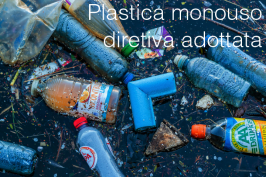 Plastica monouso: Direttiva adottata Plastica monouso: Direttiva adottata