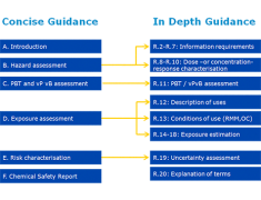 Guida alle prescrizioni in materia di informazione e alla valutazione della sicurezza chimica Guida alle prescrizioni in materia di informazione e alla valutazione della sicurezza chimica