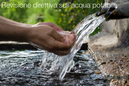 Revisione direttiva acqua potabile Revisione direttiva acqua potabile