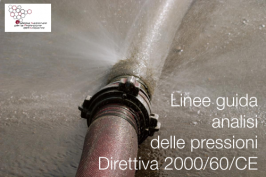 Linee guida per l'analisi delle pressioni Direttiva 2000/60/CE Linee guida per l'analisi delle pressioni Direttiva 2000/60/CE