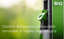 Orientamenti obiettivi di consumo per i combustibili rinnovabili di origine non biologica 