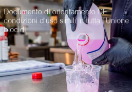 Documento di orientamento CE condizioni d'uso simili in tutta l’Unione biocidi