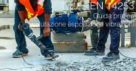 EN 14253 Guida pratica valutazione esposizione vibrazioni corpo intero