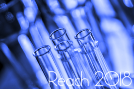 REACH deadline: 31 maggio 2018 REACH deadline: 31 maggio 2018