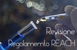 Revisione Regolamento REACH: Consultazione pubblica Revisione Regolamento REACH: Consultazione pubblica