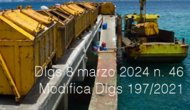 Decreto Legislativo 8 marzo 2024 n. 46