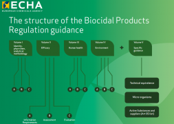 The structure of the Biocidal Products Regulation guidance The structure of the Biocidal Products Regulation guidance