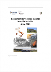 Ecosistemi terrestri ed incendi boschivi in Italia: Anno 2024