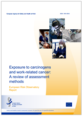 Exposure to carcinogens and work-related cancer: A review of assessment methods Exposure to carcinogens and work-related cancer: A review of assessment methods