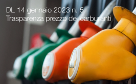 Decreto-Legge 14 gennaio 2023 n. 5