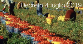 Decreto 4 luglio 2019 