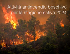 Attività antincendio boschivo per la stagione estiva 2024