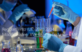 Regolamento (UE) 2021/2204