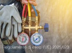 Regolamento di esecuzione (UE) 2025/623