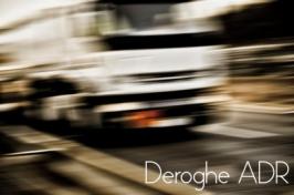 Decisione di esecuzione (UE) 2015/217