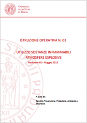 Rischi specifici: Istruzioni operative D.Lgs. 81/08 - UNIPD Rischi specifici: Istruzioni operative D.Lgs. 81/08 - UNIPD