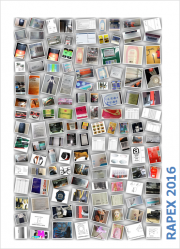 RAPEX: Report annuale Certifico 2016 RAPEX: Report annuale Certifico 2016