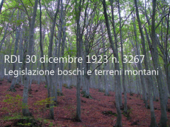 Regio Decreto-Legge 30 dicembre 1923 n. 3267
