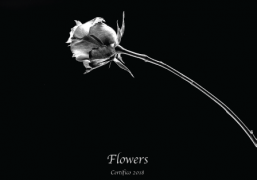 Calendario Certifico 2018 Calendario Certifico 2018