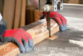 Cassazione Penale Sent. Sez. 4 Num. 20373 | 03 Giugno 2025