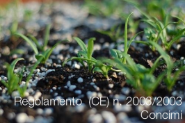 Regolamento (CE) n. 2003/2003