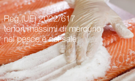 Regolamento (UE) 2022/617 