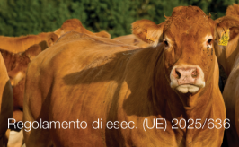 Regolamento di esecuzione (UE) 2025/636